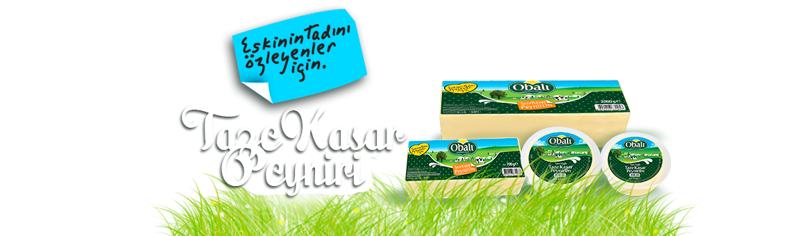 Taze Kaşar Peyniri Bursa