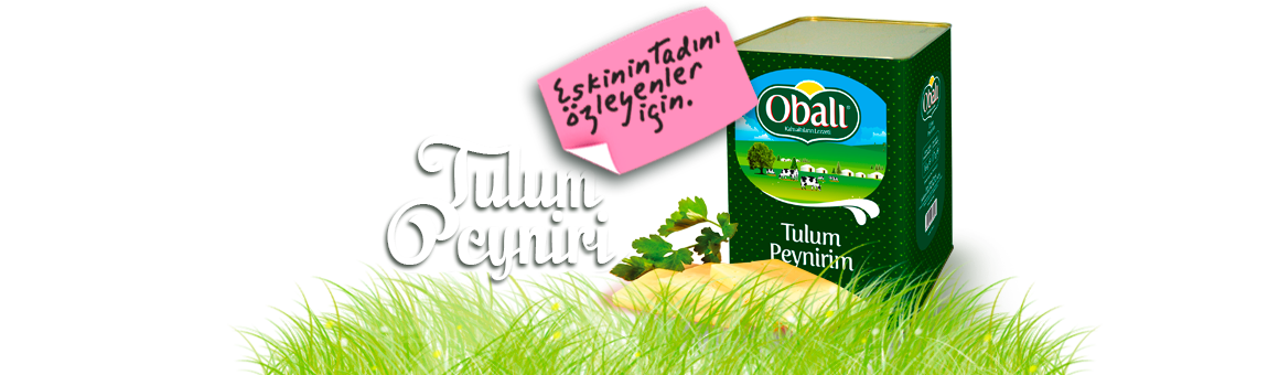 Tulum Peyniri Bursa