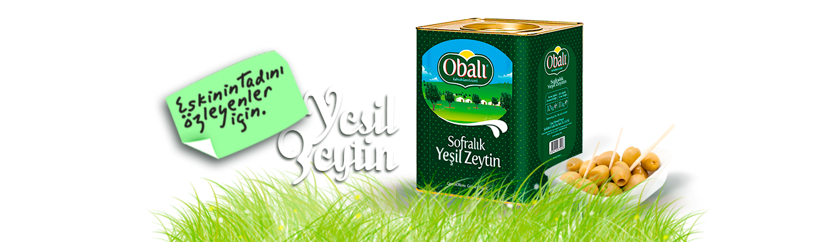 Yesil Zeytin Bursa