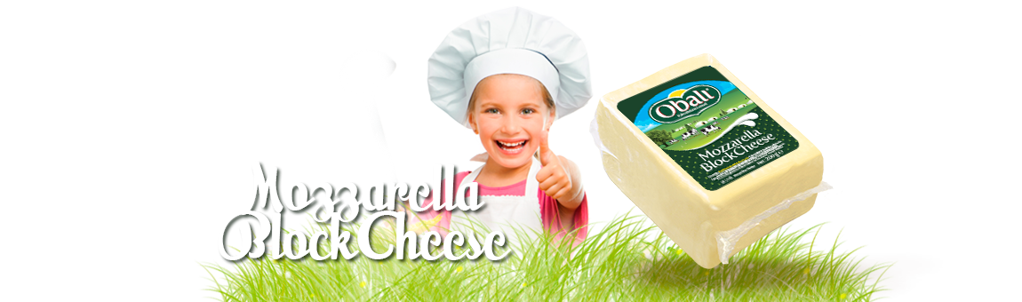 Obali Milk Products Mozzarella Block Cheese