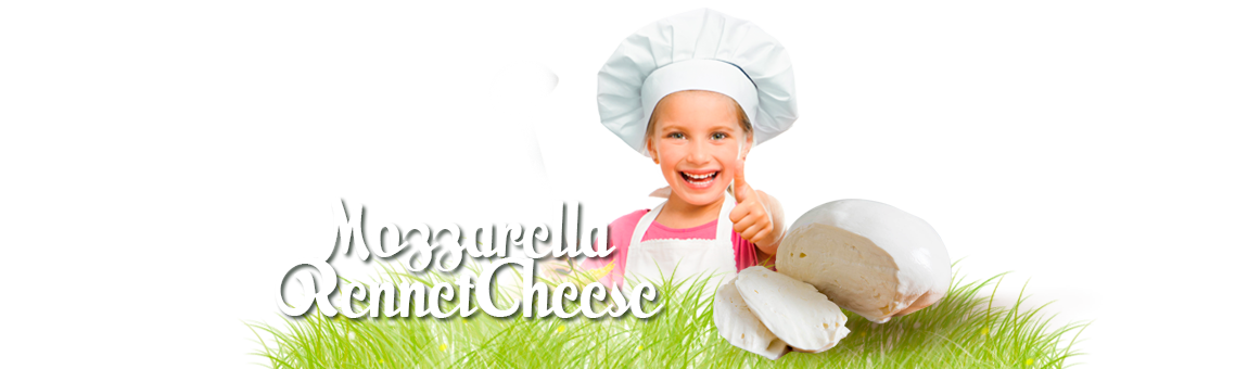 Obali Milk Products Mozzarella Rennet Cheese