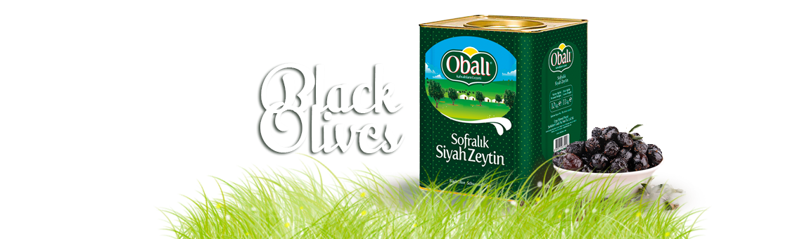 Siyah Zeytin, Black Olives