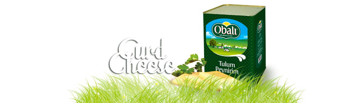 Tulum Peyniri, Curd Cheese